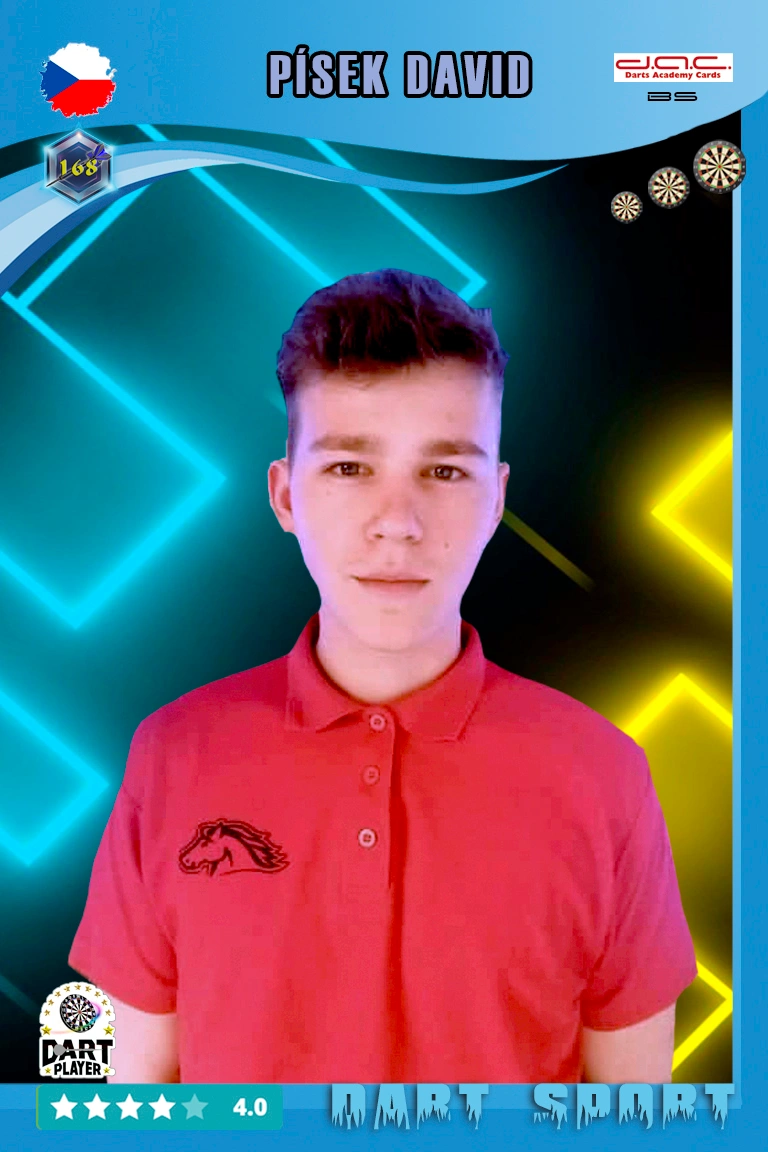 David Písek - Basic