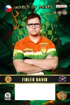 David Fidler - Green Edition